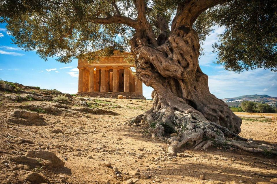 Small Group Tour of Sicily Highlights: 8 Days - Important Information & Restrictions