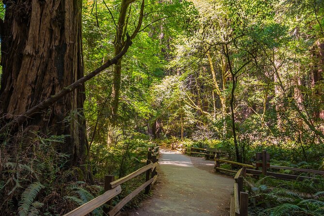 Small-Group Tour: SF, Muir Woods, Sausalito W/ Optional Alcatraz - Tour Itinerary