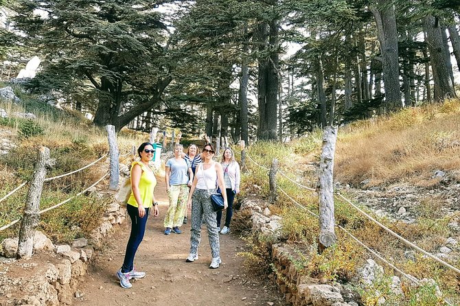 Small-Group Tour With Lunch to Qadisha Valley, Bcharre and Cedars - Qadisha Valley Exploration
