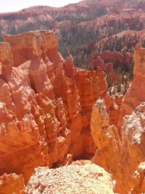 Small Group Tour Zion & Bryce Canyon National from Las Vegas - Transportation and Comfort