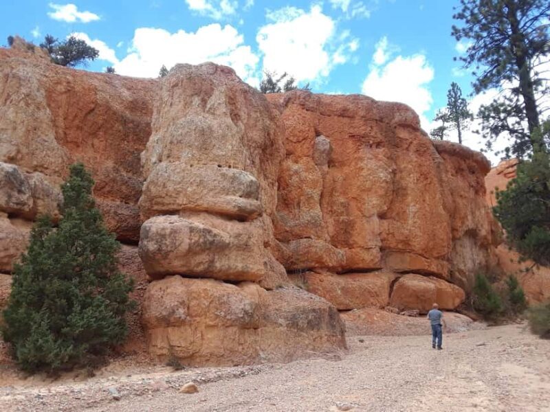 Small Group Tour Zion & Bryce Canyon National from Las Vegas - Who This Tour Is Best For