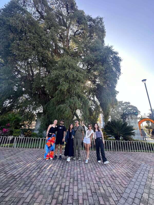 Small group tours: Hierve el Agua, Mezcal, Teotitlán, Mitla and Tule. - Key Points