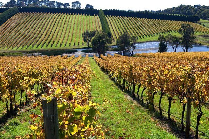 Small Group: Ultimate Mornington Peninsula Food and Wine Day - Return and Reflection
