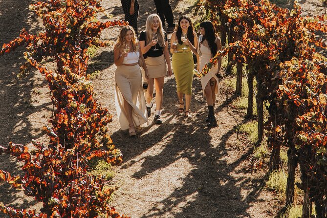 Small Group: Ultimate Napa & Sonoma Wine Tour From San Francisco - Recap