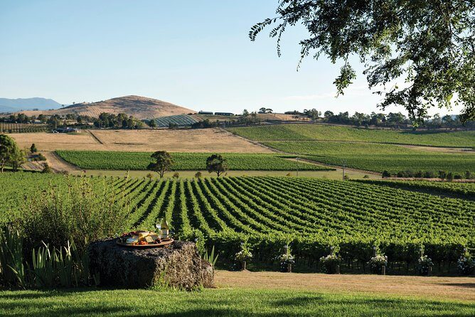 Small Group: Ultimate Yarra Valley Food and Wine - FAQ