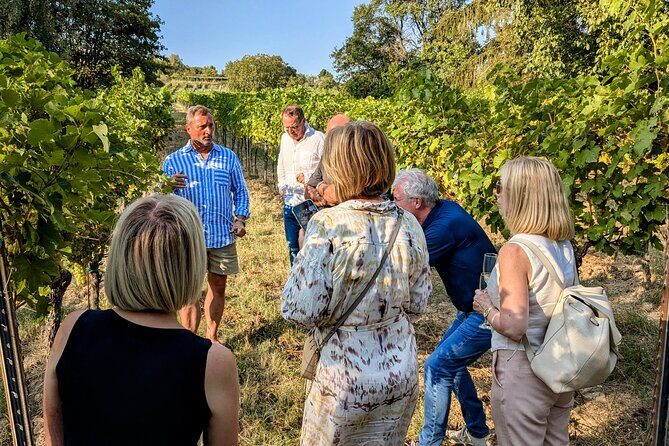 Small-group Vienna Wine Tour - The Itinerary in Detail