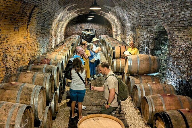 Small-group Vienna Wine Tour - What Could Be Better