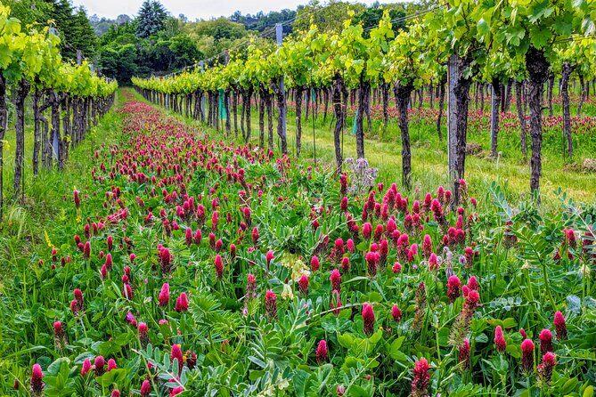 Small-group Vienna Wine Tour - FAQ