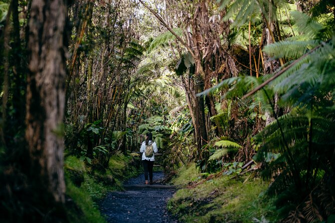 Small Group Volcano Experience With Lunch and Restaurant Dinner - Important Information for Travelers
