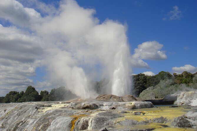 Small Group Waitomo and Rotorua including Te Puia Tour - Introduction
