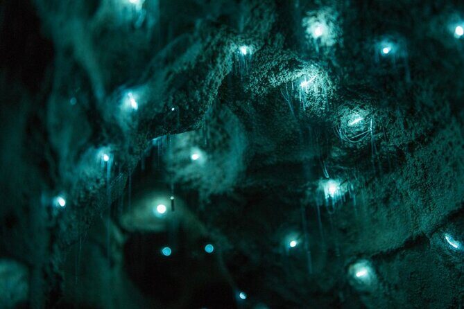 Small Group Waitomo and Rotorua including Te Puia Tour - The Sum Up