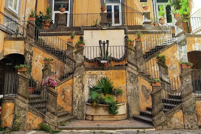 Small-Group Walking Tour of Naples - Traveler Reviews and Feedback