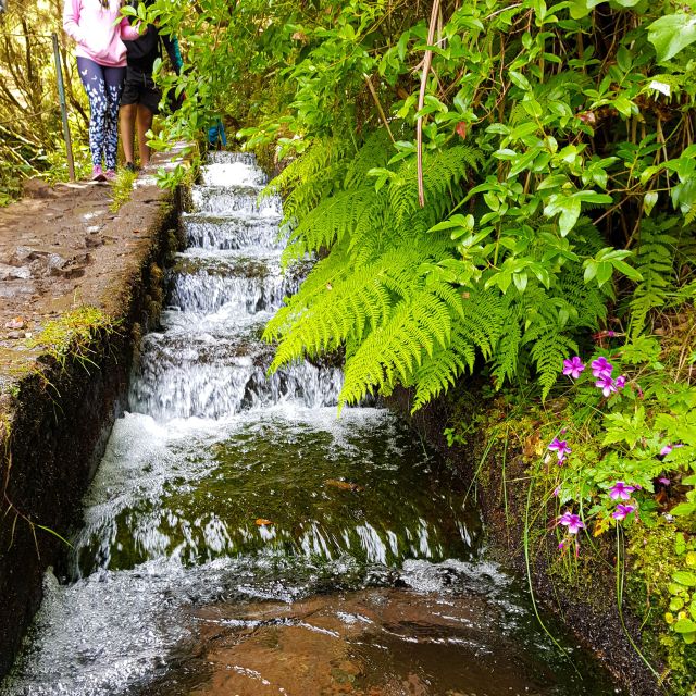 Small Group Walks Rabacal 25 Fontes - Activity Highlights