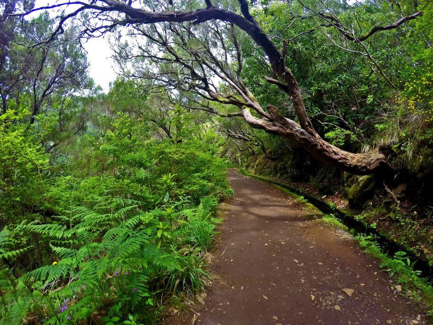 Small Group Walks Rabacal 25 Fontes - Cancellation Policy