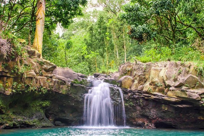 Small Group Waterfall and Rainforest Hiking Adventure on Maui - Safety Precautions