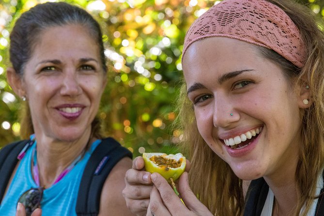 Small Group Waterfall and Rainforest Hiking Adventure on Maui - Customer Reviews
