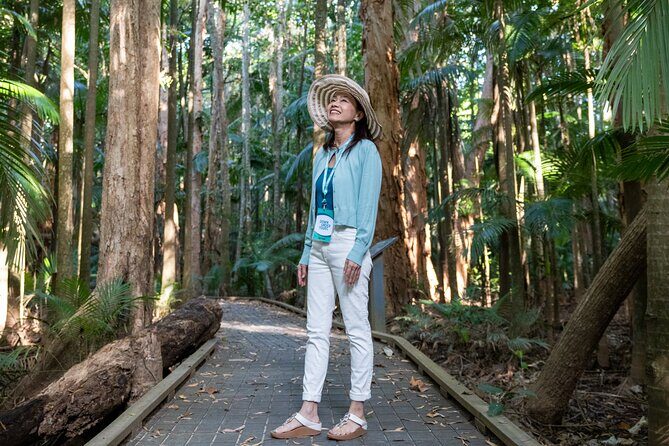 Small Group Waterfall Wetlands+ Skyrail All Inclusive from Cairns - Key Points