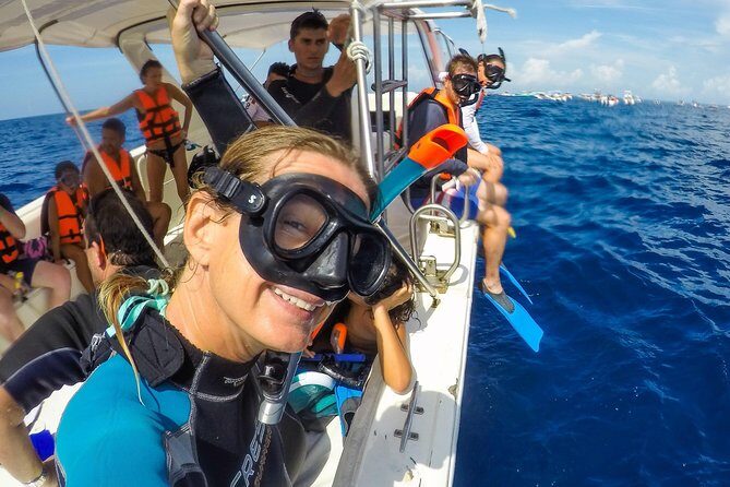 Small Group Whale Shark Encounter - 10 years in business - Price and Value