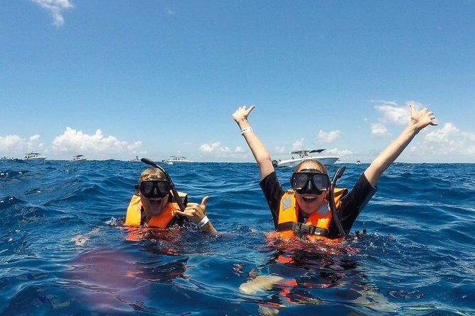 Small Group Whale Shark Encounter - 10 years in business - FAQ