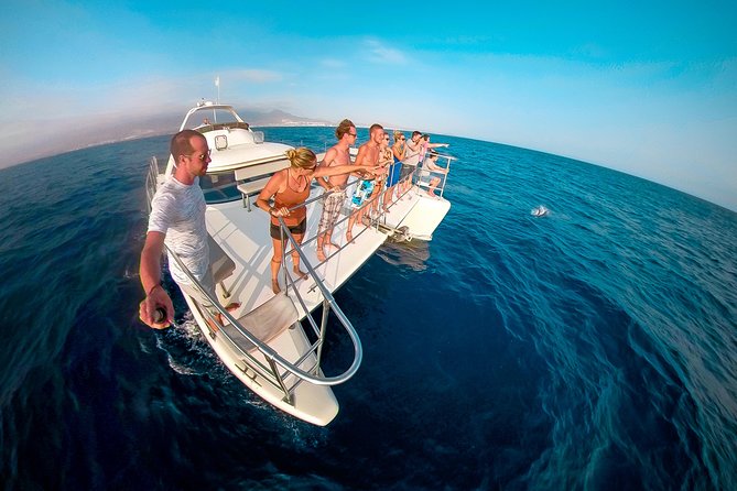 Small Group Whale Watching Catamaran Cruise With Transfer, Food & Snorkeling - Key Points