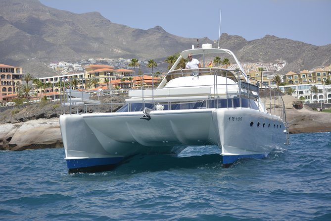 Small Group Whale Watching Catamaran Cruise With Transfer, Food & Snorkeling - Meeting Point and Pickup