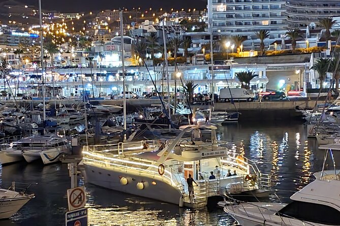 Small Group Whale Watching Catamaran Cruise With Transfer, Food & Snorkeling - Boat Information