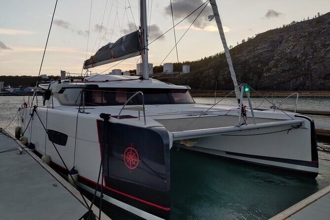 Small group Whale watching - Final Thoughts: Who is This Tour Perfect For?