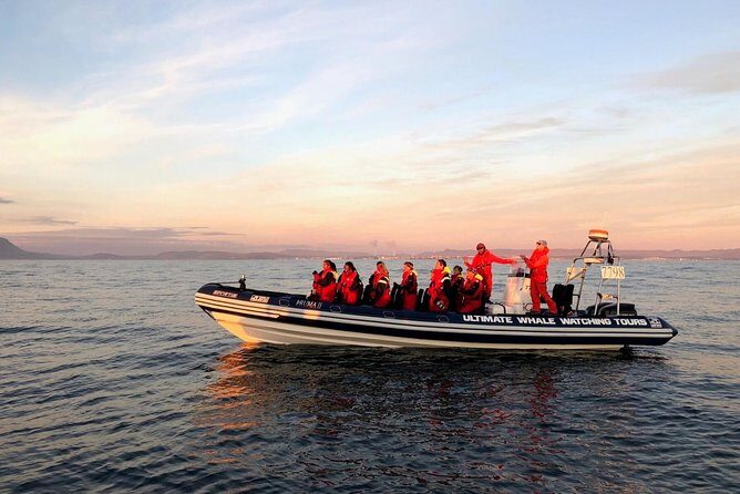 Small-group Whale Watching in the Midnight Sun from Reykjavík - Practical Tips for Travelers