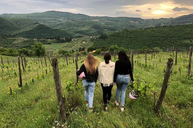 Small Group Wine Tasting in Tuscany with Vineyard Visit - An In-Depth Look at the Tour Experience