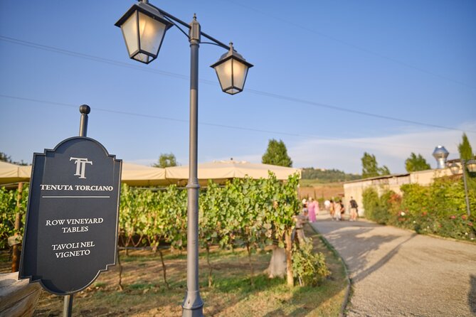 Small-Group Winery Tour With Tasting and Dinner in Chianti Vineyards - Positive Guest Experiences
