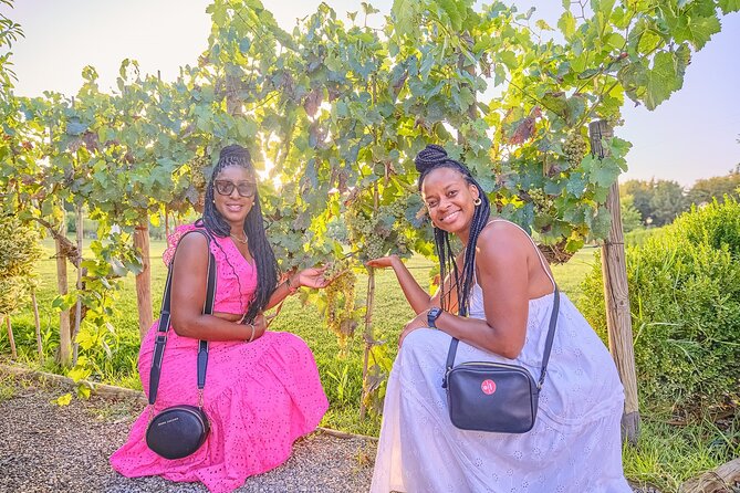 Small-Group Winery Tour With Tasting and Dinner in Chianti Vineyards - Engaging Tour Guides