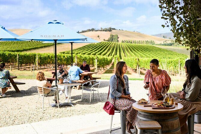 Small Group Yarra Valley: Redwoods Forest & Premium Wine Tour - Why This Tour Delivers Value