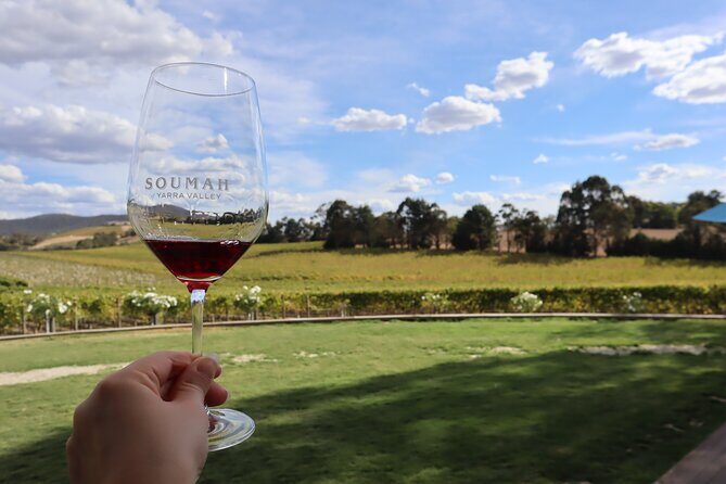 Small Group Yarra Valley: Redwoods Forest & Premium Wine Tour - Frequently Asked Questions