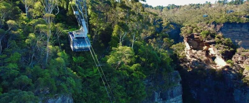 Small Group: Zoo, Blue Mountains, Scenic World Mandarin Tour - The Sum Up