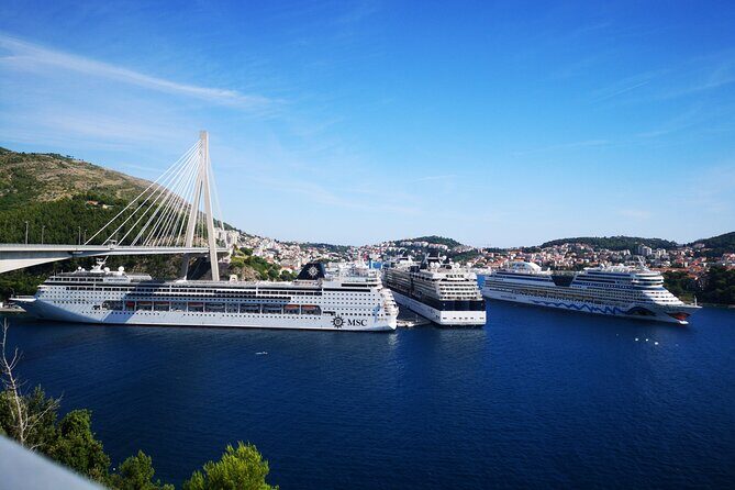 Small grup Highlights of Dubrovnik Panorama Tour - Who Is This Tour Best For?