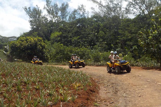 Small Quad Tour 2h30 Quad excursion in Moorea (single or two-seater) - Starting Point at Moorea Activities Center