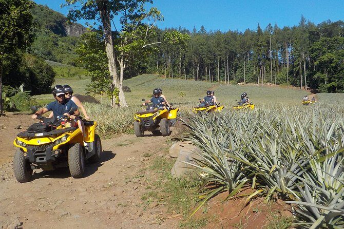 Small Quad Tour 2h30 Quad excursion in Moorea (single or two-seater) - Exploring the Pineapple Fields at Lycée Agricole