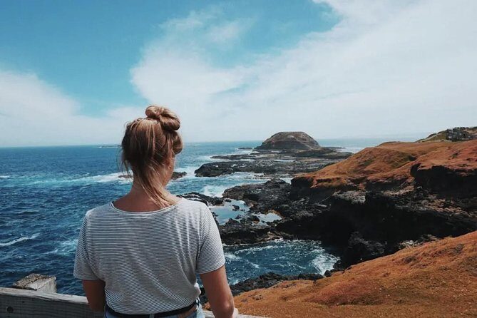 Small Tour (8 ppl) Phillip Island Hike & Penguin Parade Day Tour - Who Will Love This Tour?