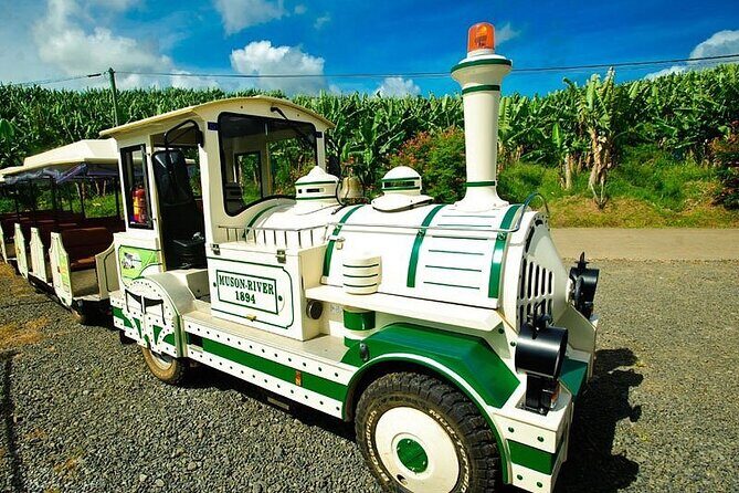 Small train tour of a banana farm in Martinique - The Experience in Detail