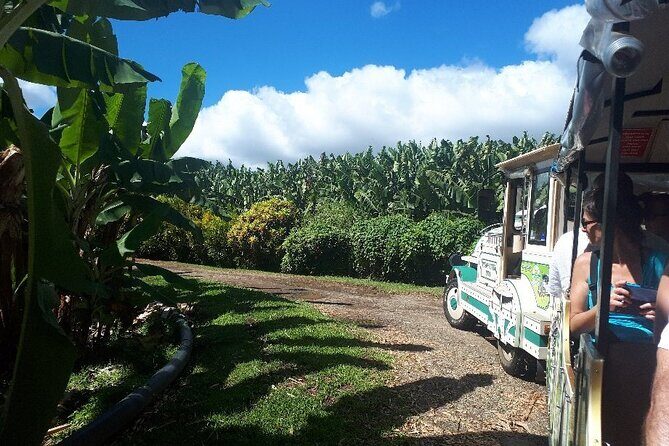 Small train tour of a banana farm in Martinique - Final Thoughts