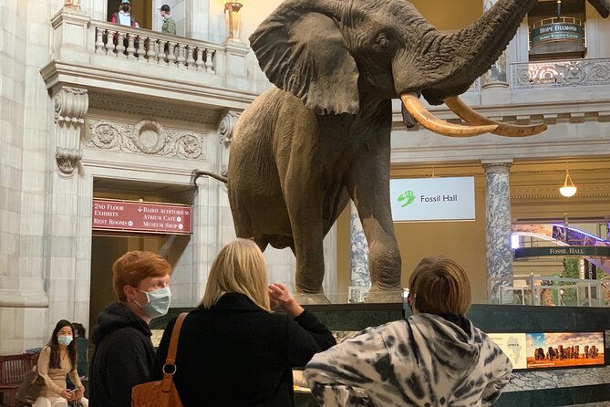 Smithsonian National Museum of Natural History With Guided Tour - Customer Service and Refund Policies