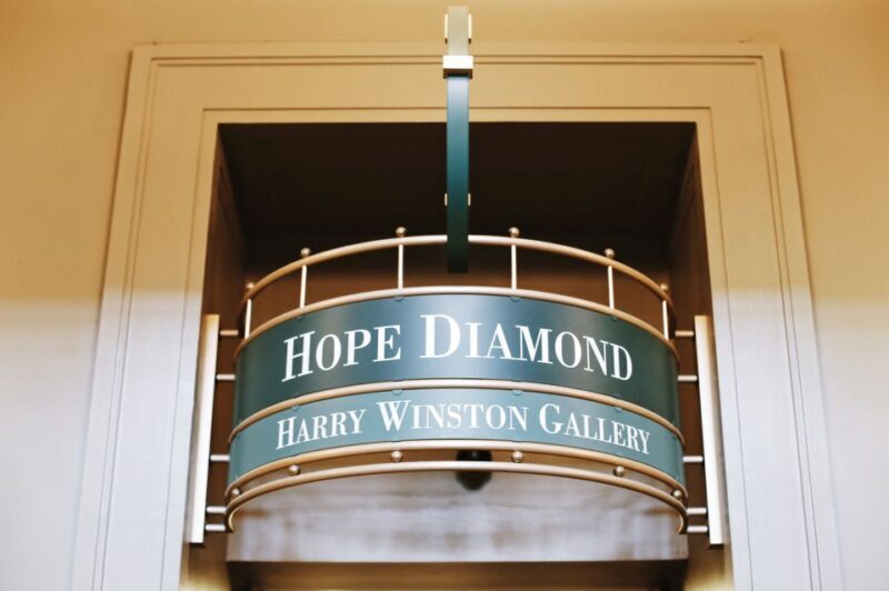 Smithsonian Natural History + Air & Space Museum Tour 8ppl - Meeting Point & Logistics