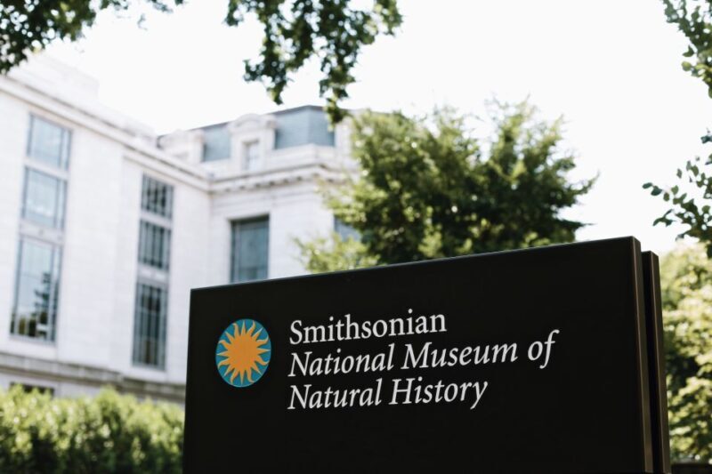 Smithsonian Natural History Museum Tour Semi-Private 8ppl - Why This Tour Stands Out