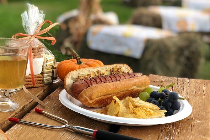 Smokies, S'mores, Mulled Wine and Fall Fun at Kelowna Winery - An In-Depth Look at the Kelowna Fall Farm Experience