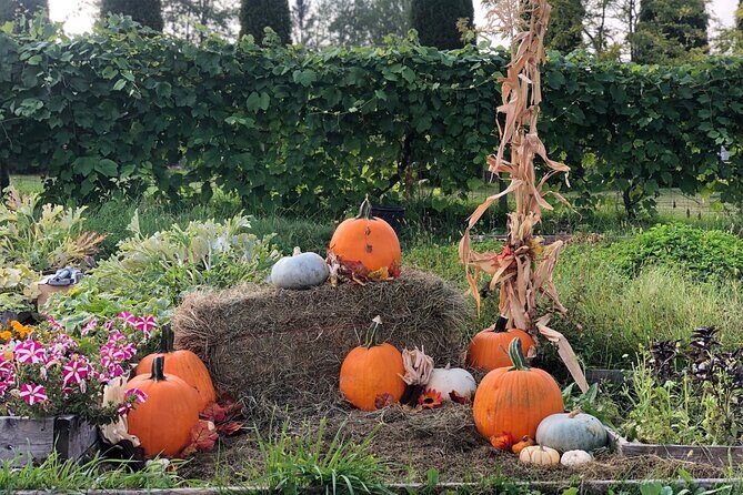 Smokies, S'mores, Mulled Wine and Fall Fun at Kelowna Winery - Frequently Asked Questions