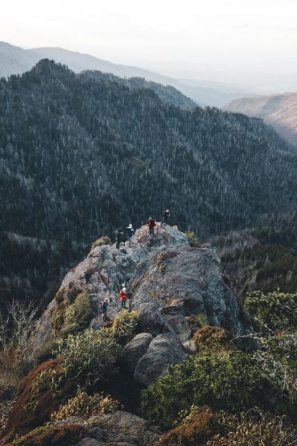 Smoky Mountains National Park: Private Full-Day Tour - Cancellation Policy Information
