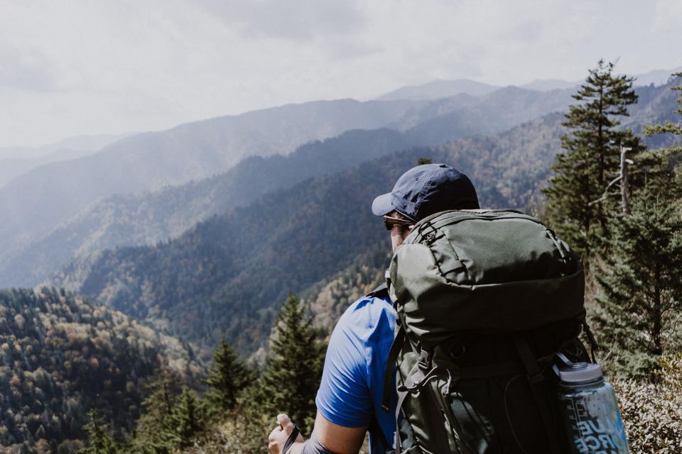Smoky Mountains National Park: Private Full-Day Tour - Booking Information and Procedures