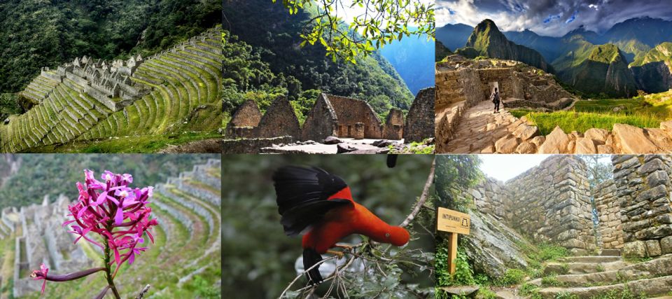 Smoll Group | Inca Trail 2 Days - New Route to Machu Picchu - Inclusions