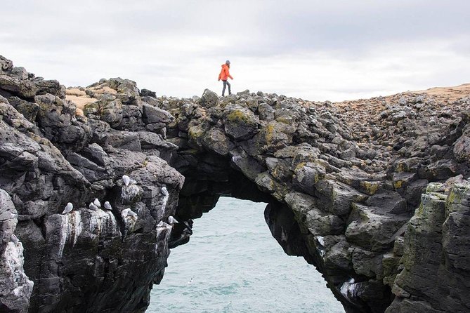 Snaefellsnes Peninsula Full Day Tour From Reykjavik - Tour Highlights