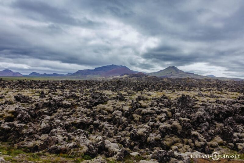 Snæfellsnes peninsula: Small Group tour by van - FAQ